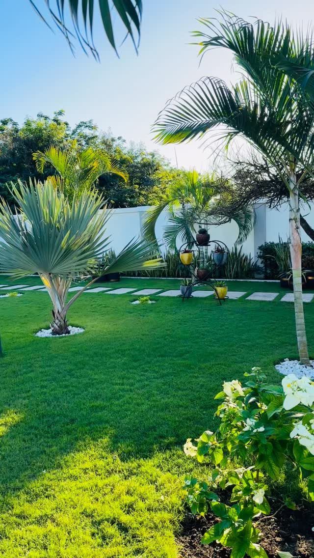 15 Acreage Garden Ideas for Large Land That Works 13 Palm trees and green grass in a manicured garden with white stone accents.