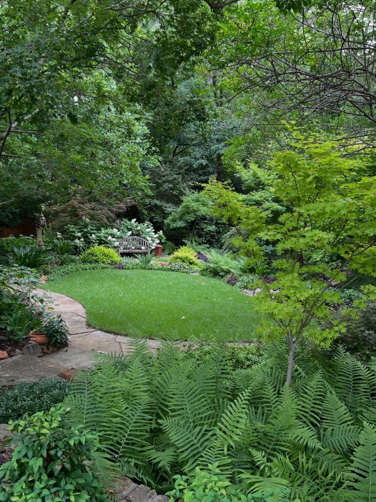 15 Acreage Garden Ideas for Large Land That Works 6 Lush green garden with ferns, a stone path, and a white bench under dense tree canopy.