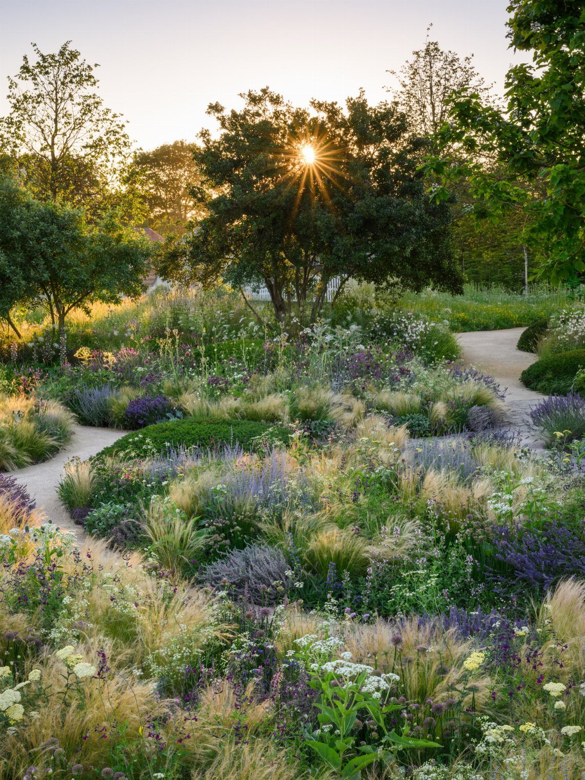 15 Acreage Garden Ideas for Large Land That Works 9 Wildflowers and ornamental grasses surround a winding path in a sunlit, lush garden setting.