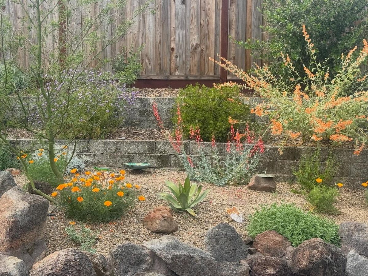 21 Back Garden Ideas from Potagers to Fire Pits 11 Various desert plants and orange flowers growing in a gravel garden with stone borders.