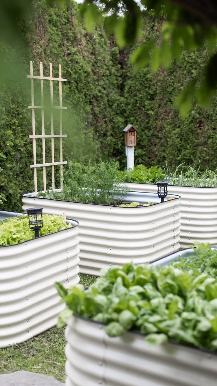 21 Back Garden Ideas from Potagers to Fire Pits 1 White corrugated metal raised garden beds filled with various green leafy plants and herbs in a backyard.