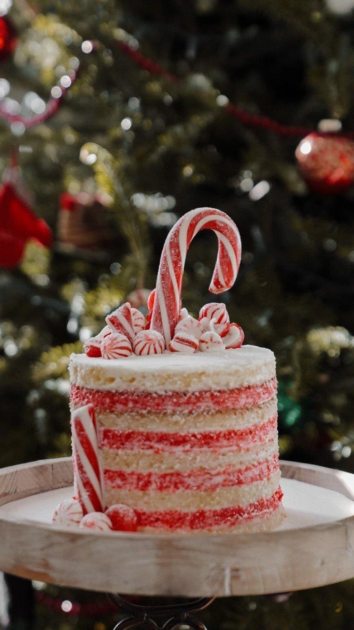12 Beautiful Christmas Cake Ideas That Rival Bakery Work 2 A striped red and white layer cake decorated with candy canes and peppermint candies.