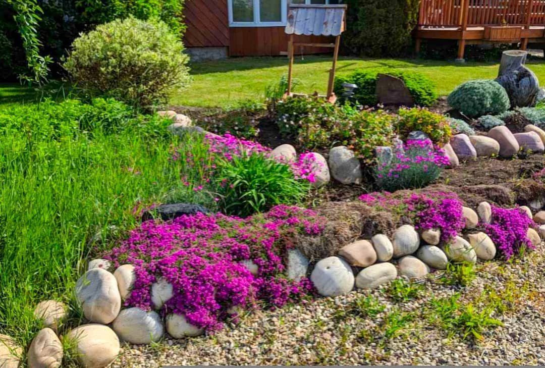 17 Cheap Yard Ideas for a Better Front or Back Garden 7 Pink flowering plants and large smooth stones arranged in a decorative rock garden.