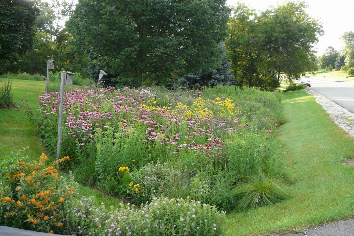 17 Cheap Yard Ideas for a Better Front or Back Garden 4 A vibrant garden bed filled with pink, yellow, and white flowering perennials.