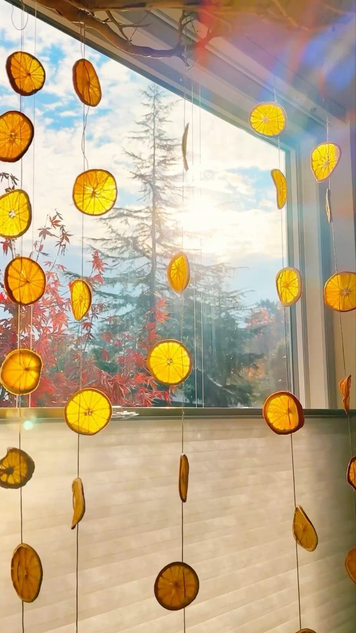 Christmas Craft for Adults: 5 Projects That Belong to the Evening 3 Dried orange slices hanging on strings in front of a bright window with trees outside.
