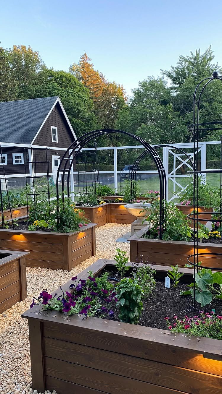 20 Corner Yard Garden Ideas for Any Size Space 6 Wooden raised garden beds with black metal trellises and green plants on gravel.