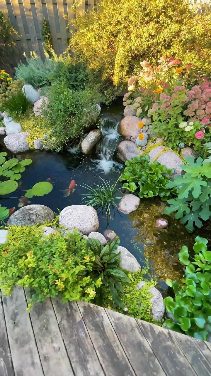 20 Corner Yard Garden Ideas for Any Size Space 4 A small garden pond with a stone waterfall, lush plants, and orange fish swimming.