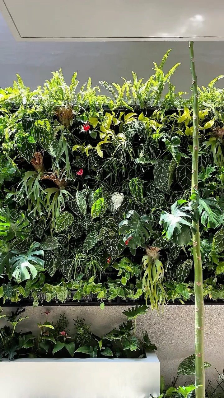 20 Corner Yard Garden Ideas for Any Size Space 8 A dense vertical wall of various green tropical plants and ferns growing together.