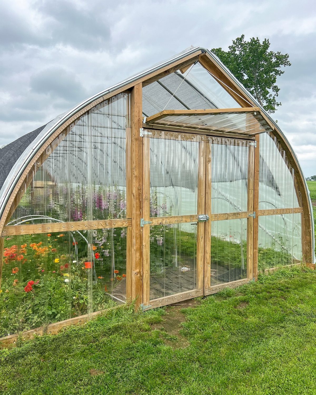Garden Tunnel Ideas: 8 Ways to Frame Your Growing Space 4 A large wooden framed greenhouse with a curved translucent roof standing on a green lawn.