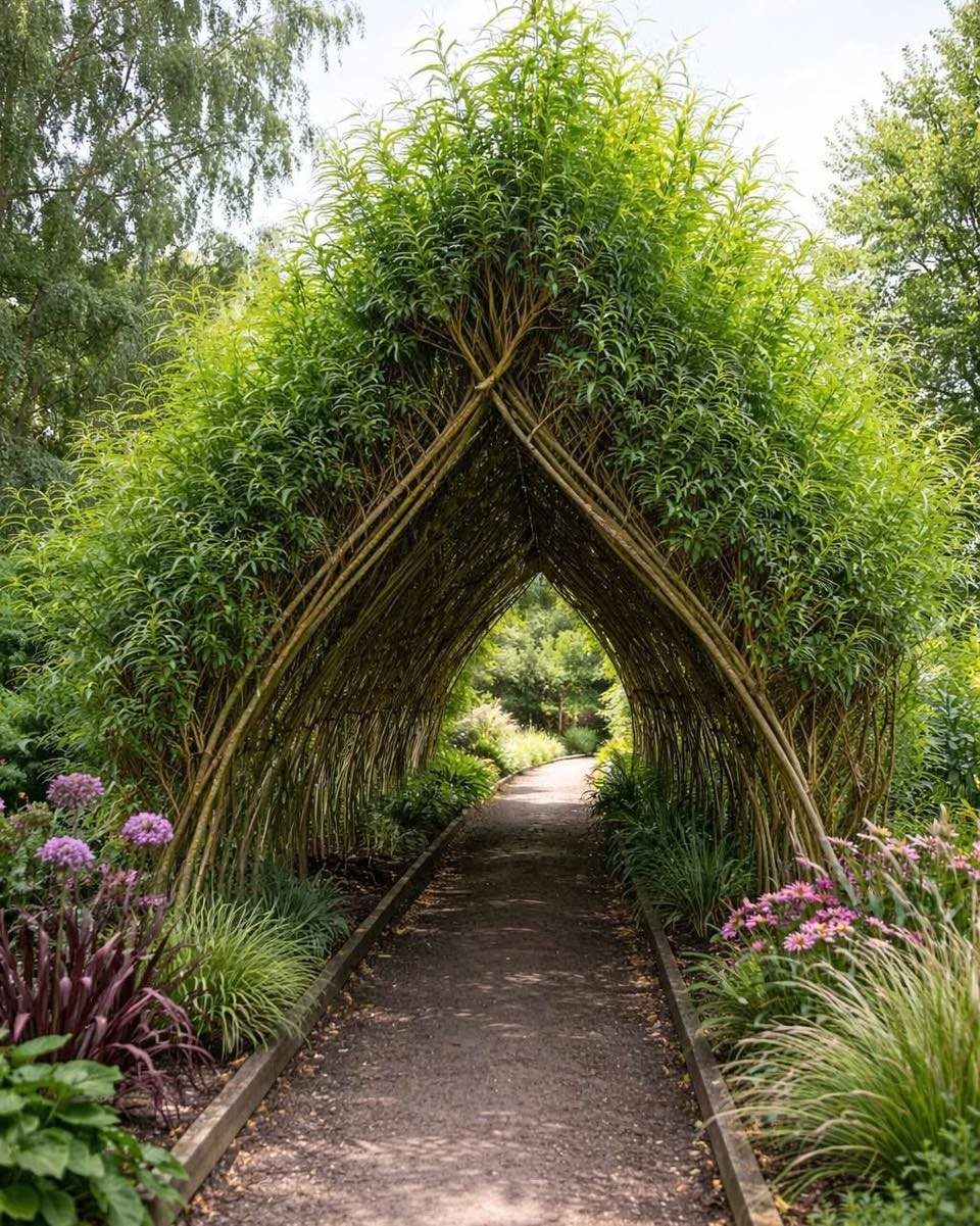 Garden Tunnel Ideas: 8 Ways to Frame Your Growing Space 8 A living willow garden tunnel arching over a walking path in a lush green garden.
