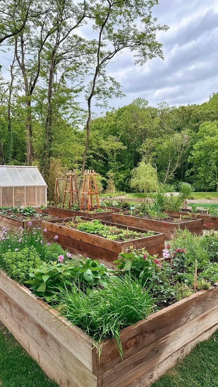 15 Huge Garden Design Ideas for Birds, Light, Night Paths and Still Water 4 Wooden raised garden beds filled with lush green plants and flowers in a backyard setting.