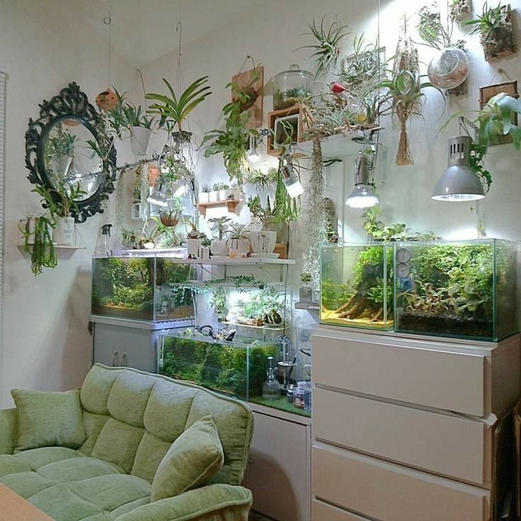 11 Indoor Green House Room Ideas for Every Budget 3 Lush green plants and repurposed glass aquariums filled with greenery sitting on white storage cabinets.