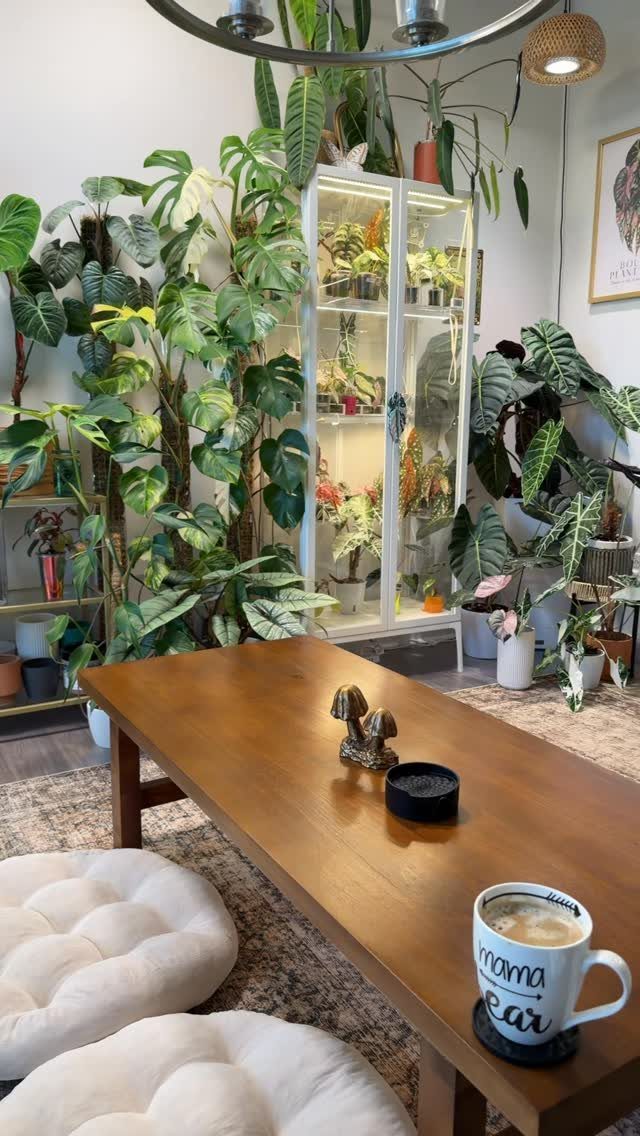 11 Indoor Green House Room Ideas for Every Budget 4 A white glass cabinet filled with illuminated indoor plants surrounded by large tropical greenery.