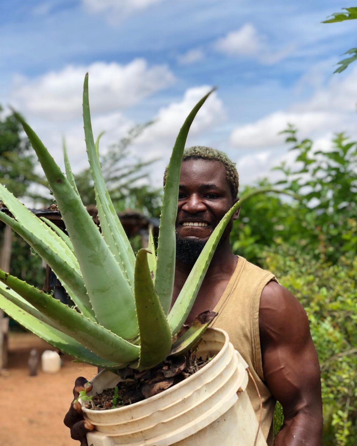6 Medicinal Herbs to Grow for Self-Sufficient Remedies 6 A smiling man holding a large potted aloe vera plant outdoors under a blue sky.