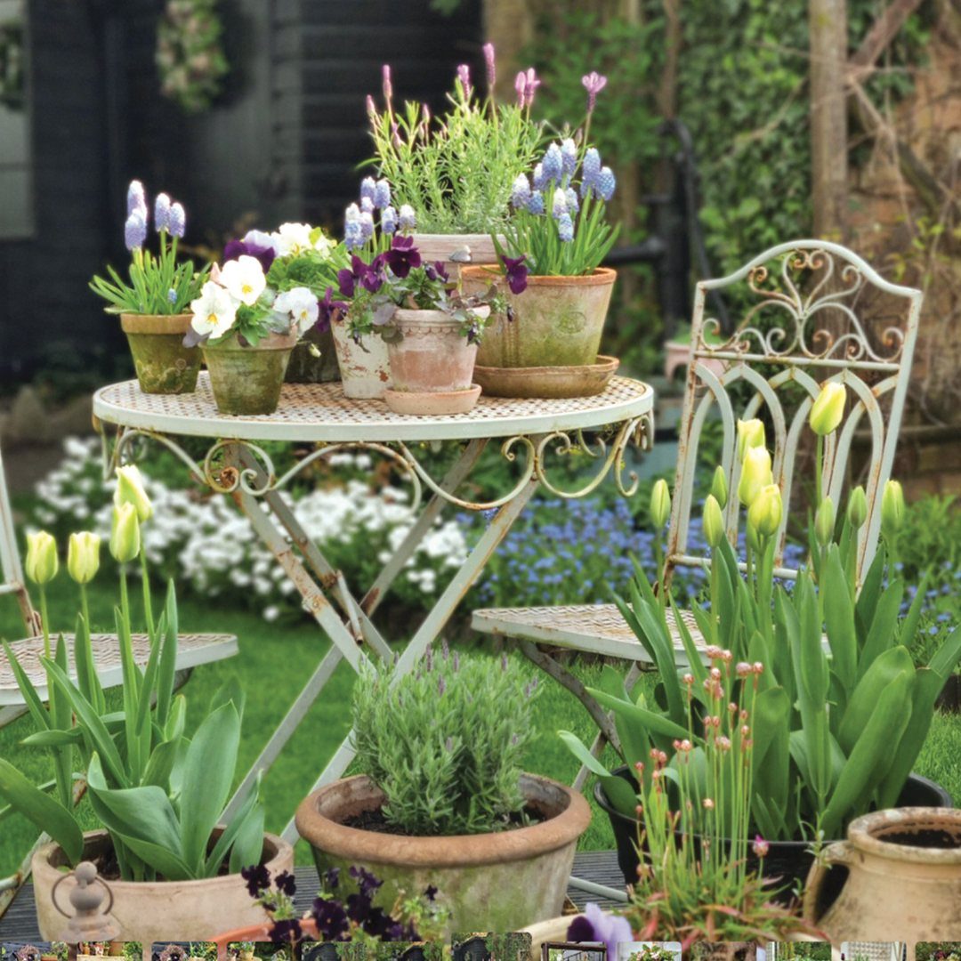 20 Plant Pot Ideas for Outdoor Spaces That Actually Work 1 Flowering plants in various ceramic pots arranged on a white wrought iron garden table outdoors.