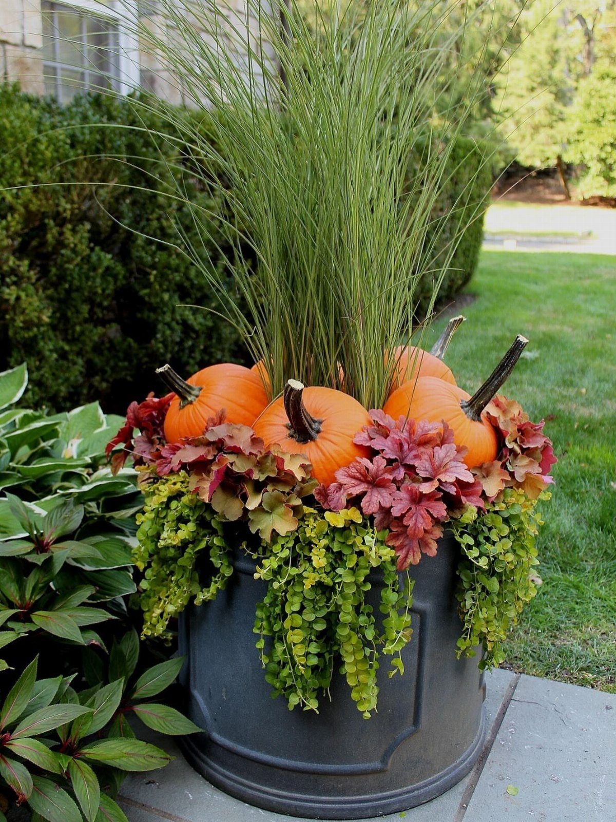 20 Plant Pot Ideas for Outdoor Spaces That Actually Work 6 Tall ornamental grass and small pumpkins arranged in a dark grey planter outdoors.