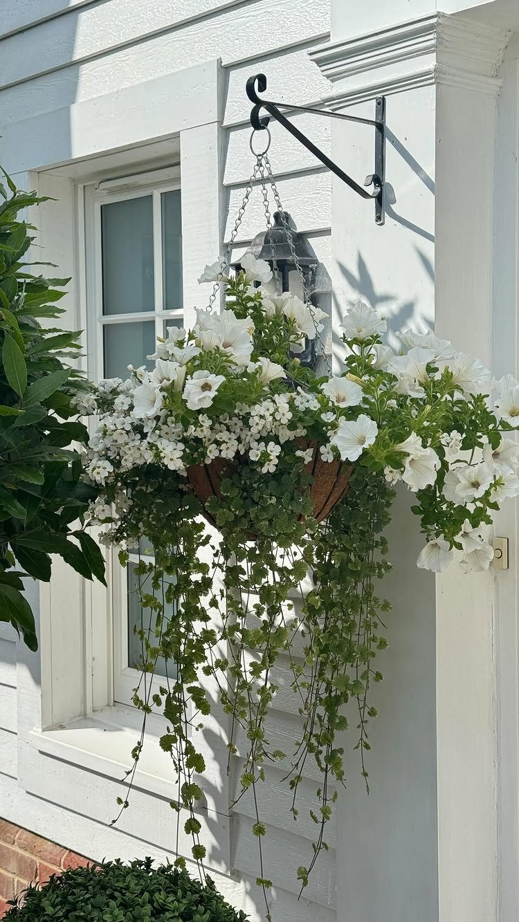 20 Plant Pot Ideas for Outdoor Spaces That Actually Work 10 White petunias and trailing green vines overflow from a hanging basket on a white wall.
