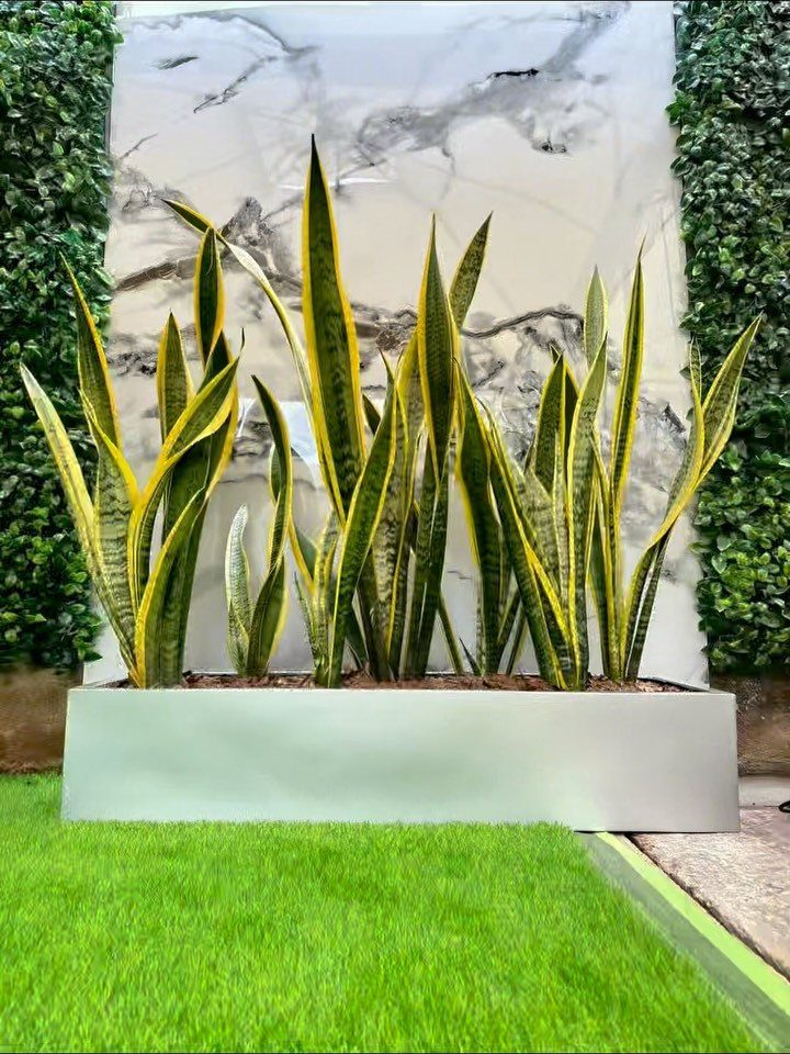 20 Plant Pot Ideas for Outdoor Spaces That Actually Work 15 Snake plants with yellow edges growing in a long silver metal planter against marble.