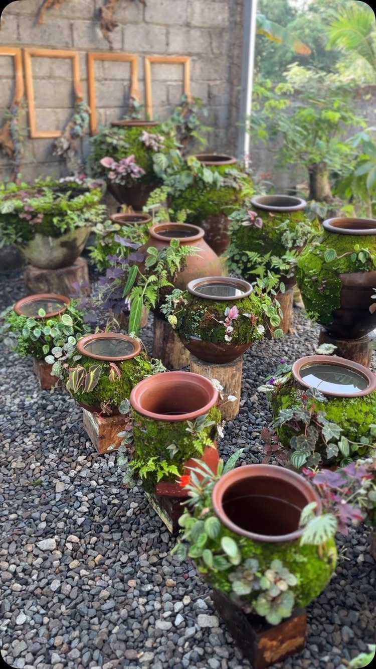 20 Plant Pot Ideas for Outdoor Spaces That Actually Work 17 Many terracotta pots filled with moss and small plants arranged on wooden blocks over gravel.