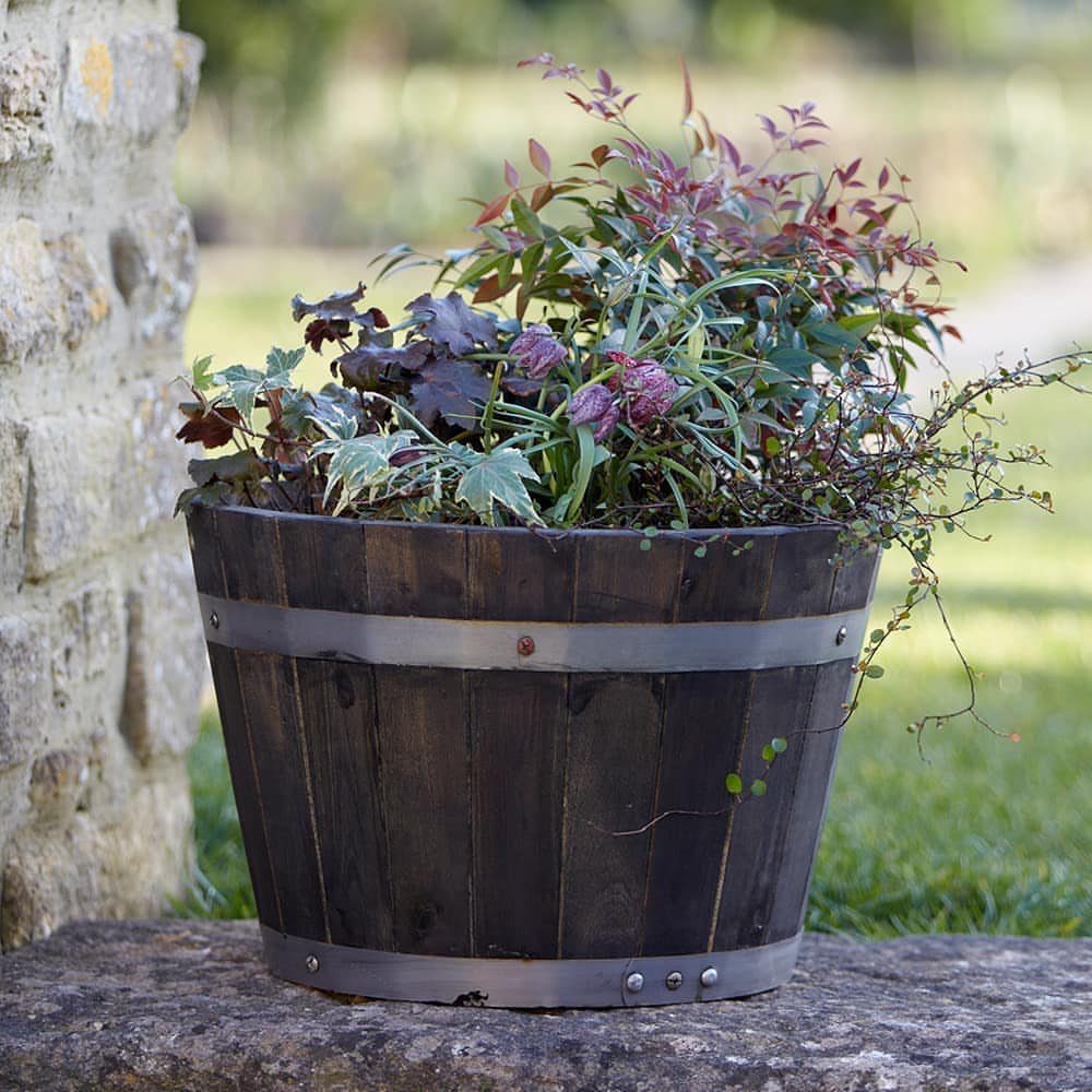 20 Plant Pot Ideas for Outdoor Spaces That Actually Work 3 A wooden barrel planter containing layered plants with tall reddish foliage and trailing green vines.