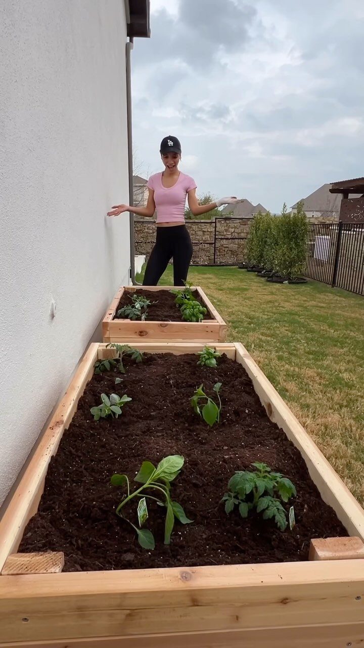 Raised Garden Beds for Small Spaces: 10 Ideas That Fit 1 Two wooden raised garden beds with young green plants growing in dark soil on a lawn.