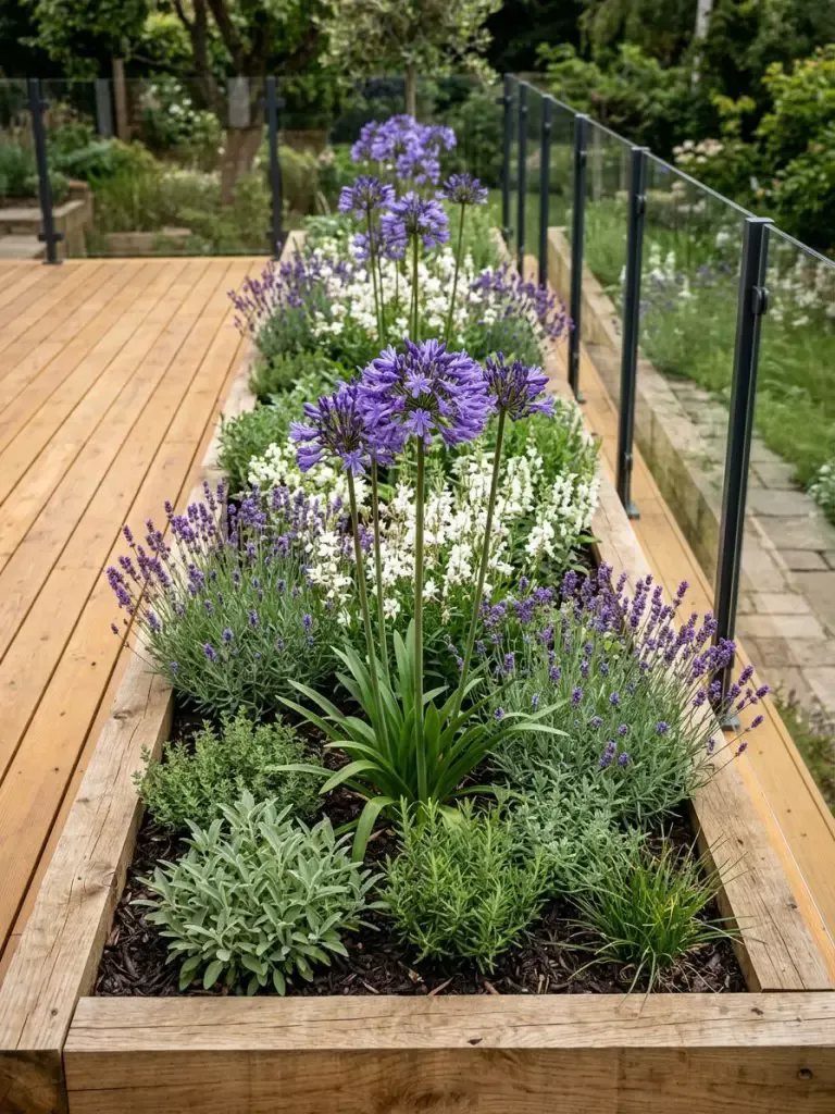 Raised Garden Beds for Small Spaces: 10 Ideas That Fit 2 Long wooden raised garden bed filled with purple agapanthus, white flowers, and lavender plants.