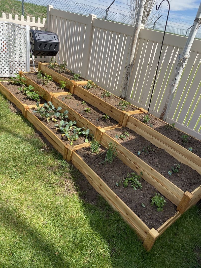 Raised Garden Beds for Small Spaces: 10 Ideas That Fit 4 Tiered wooden raised garden beds with small green plants growing in dark soil along a white fence.