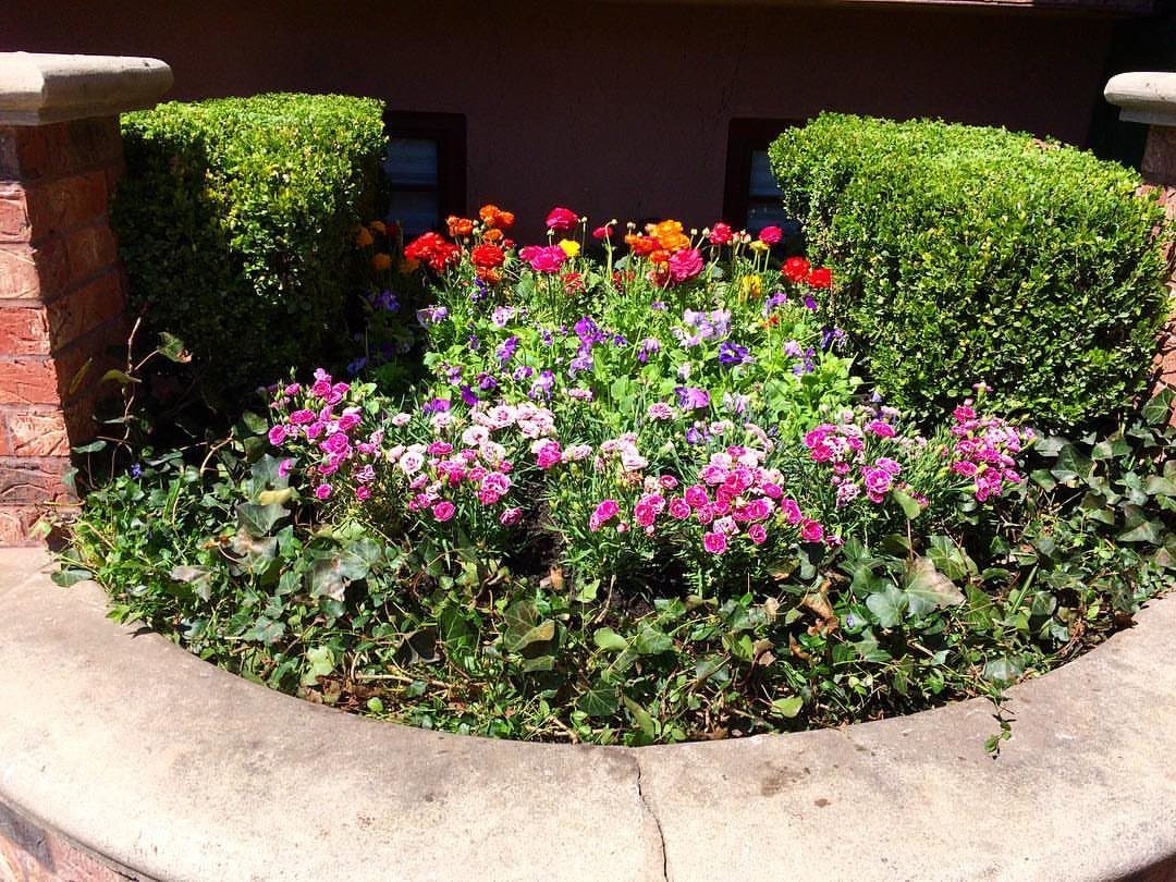 11 Small Flower Bed Ideas for Compact, Handsome Gardens 10 Colorful pink, purple, and orange flowers blooming in a curved stone garden bed with green hedges.