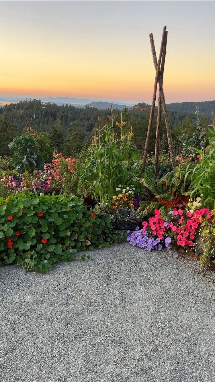 11 Small Flower Bed Ideas for Compact, Handsome Gardens 6 Colorful flowers and tall corn stalks growing in a lush garden bed overlooking forested hills at sunset.