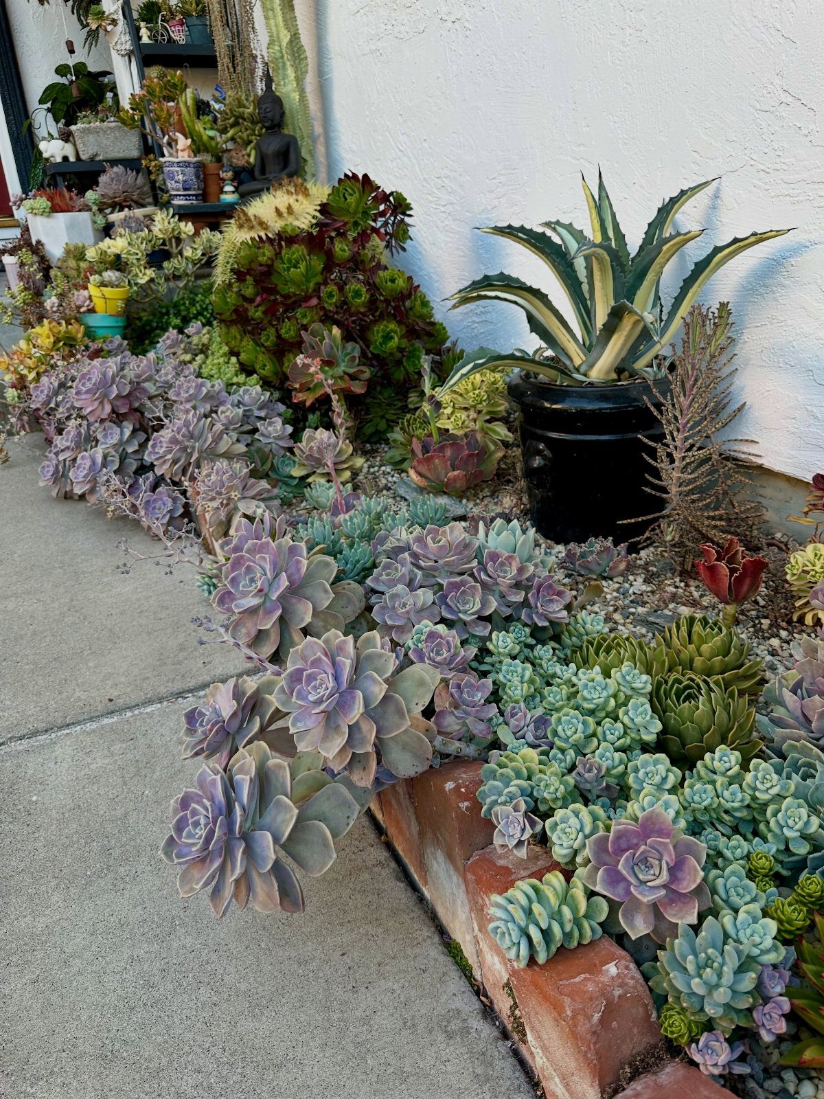 11 Small Flower Bed Ideas for Compact, Handsome Gardens 3 Various colorful succulents including purple echeveria and an agave planted in a brick-bordered garden bed.