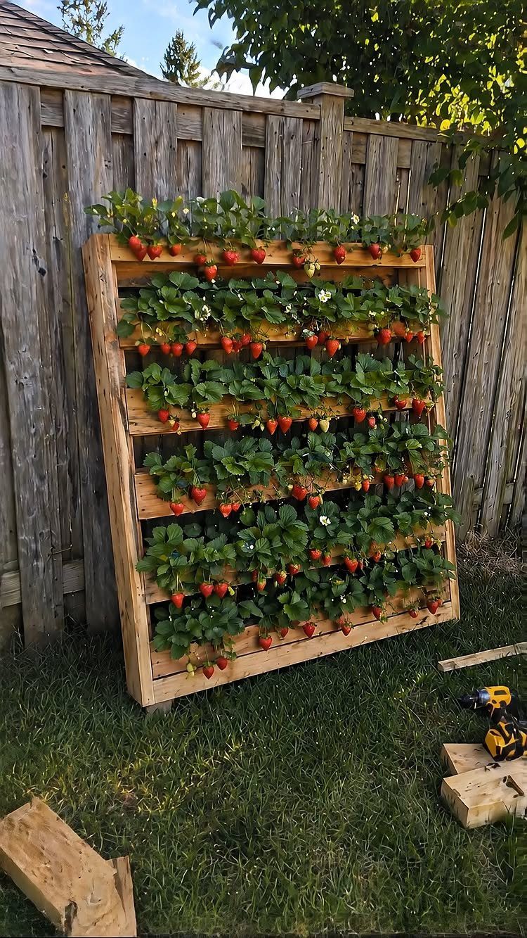 11 Strawberry Garden Bed Ideas for Small Yards & Tight Budgets 11 A vertical wooden planter rack filled with lush green strawberry plants and ripe red strawberries against a fence.